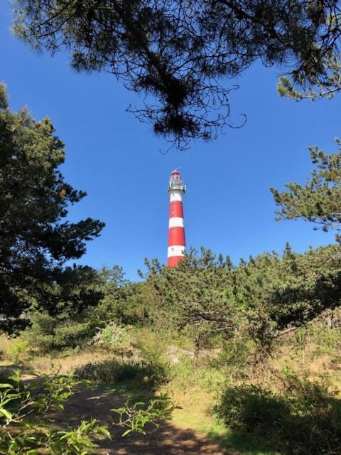 巴勒姆Waddenlief公寓 外观 照片